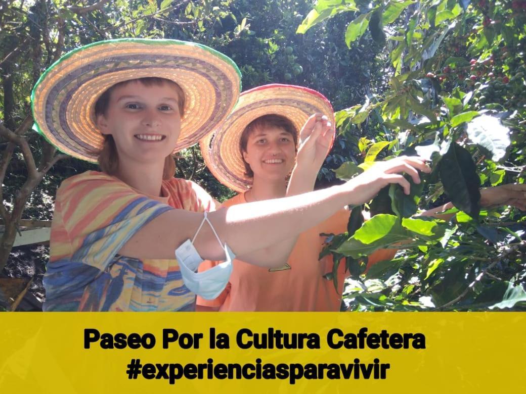 Chalet Ecoturismo La Nohelia ヘリコ エクステリア 写真