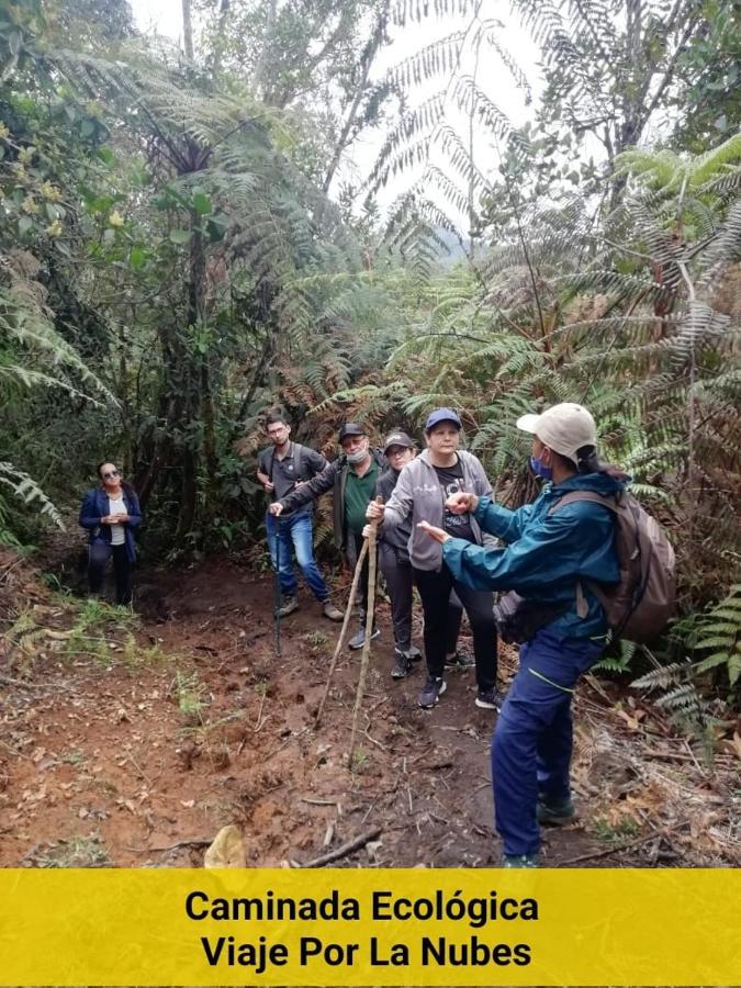 Chalet Ecoturismo La Nohelia ヘリコ エクステリア 写真