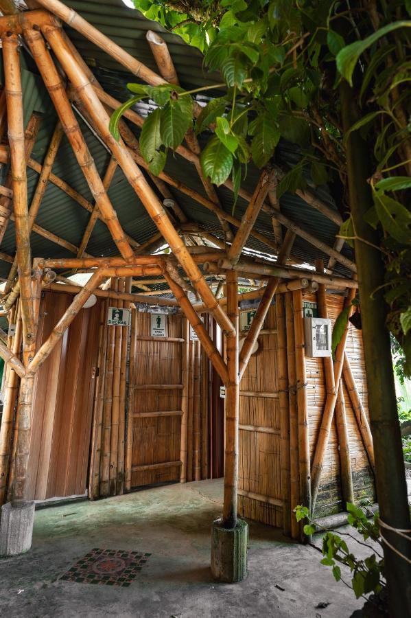 Chalet Ecoturismo La Nohelia ヘリコ エクステリア 写真