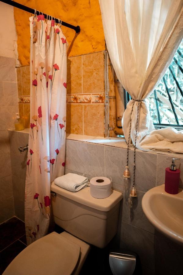 Chalet Ecoturismo La Nohelia ヘリコ エクステリア 写真