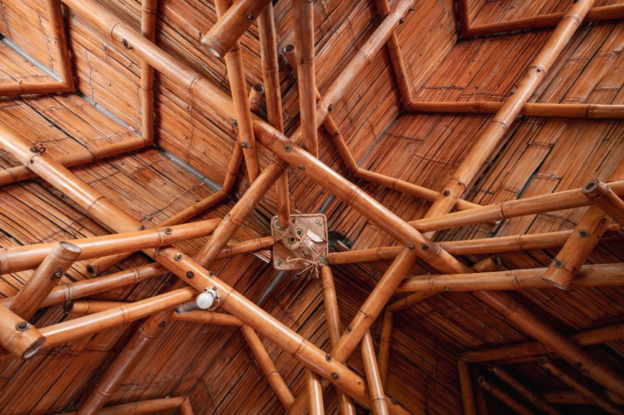 Chalet Ecoturismo La Nohelia ヘリコ エクステリア 写真