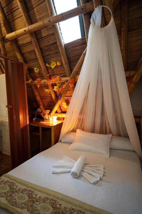 Chalet Ecoturismo La Nohelia ヘリコ エクステリア 写真