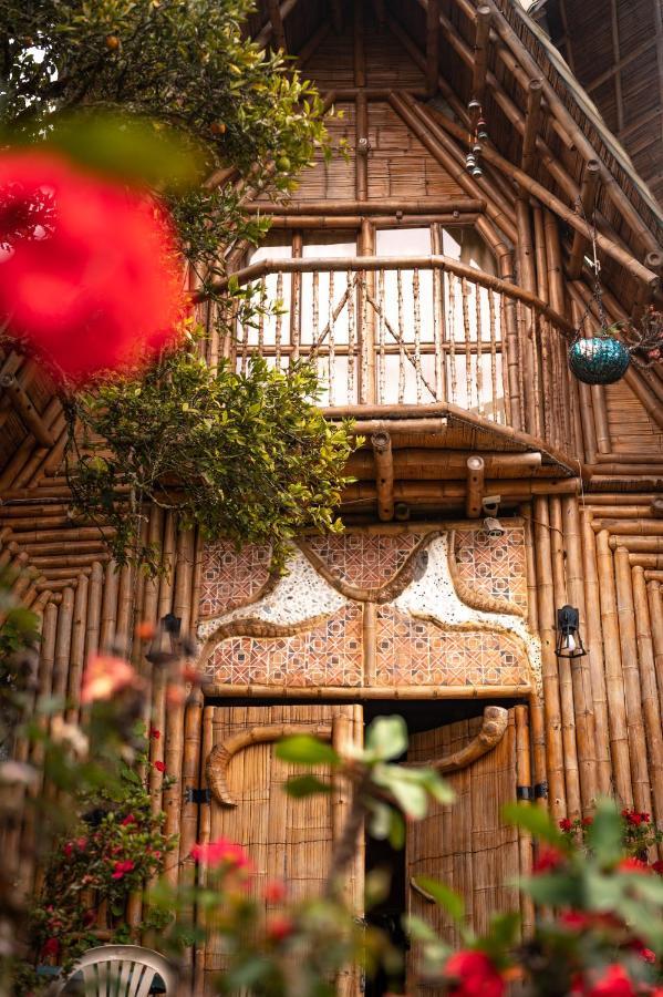 Chalet Ecoturismo La Nohelia ヘリコ エクステリア 写真