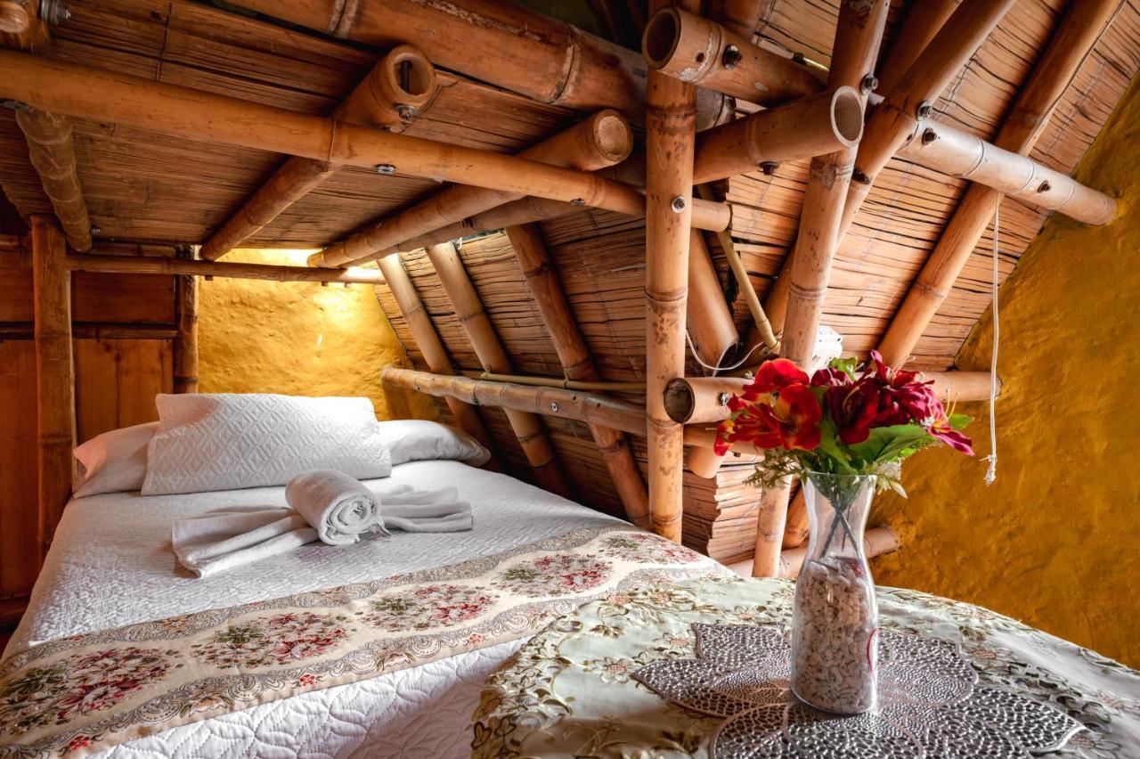 Chalet Ecoturismo La Nohelia ヘリコ エクステリア 写真