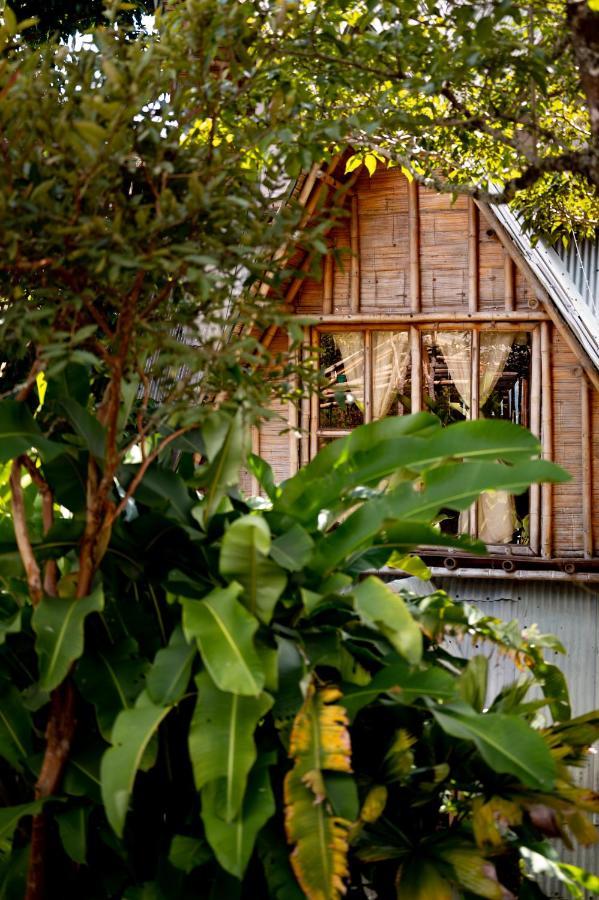 Chalet Ecoturismo La Nohelia ヘリコ エクステリア 写真