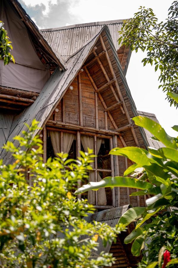 Chalet Ecoturismo La Nohelia ヘリコ エクステリア 写真