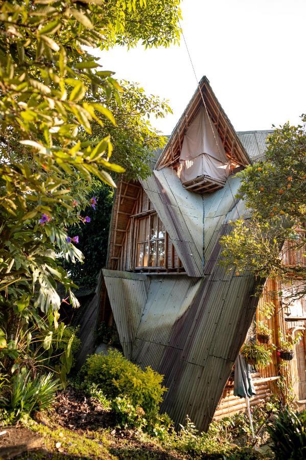 Chalet Ecoturismo La Nohelia ヘリコ エクステリア 写真