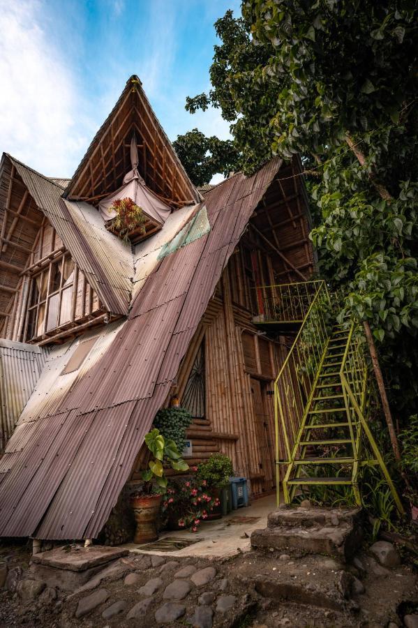 Chalet Ecoturismo La Nohelia ヘリコ エクステリア 写真