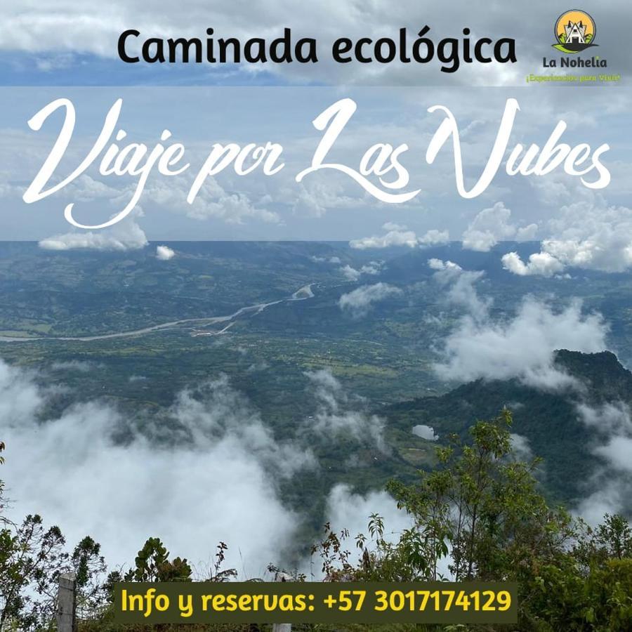 Chalet Ecoturismo La Nohelia ヘリコ エクステリア 写真