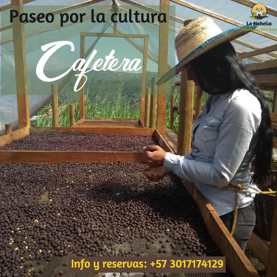 Chalet Ecoturismo La Nohelia ヘリコ エクステリア 写真