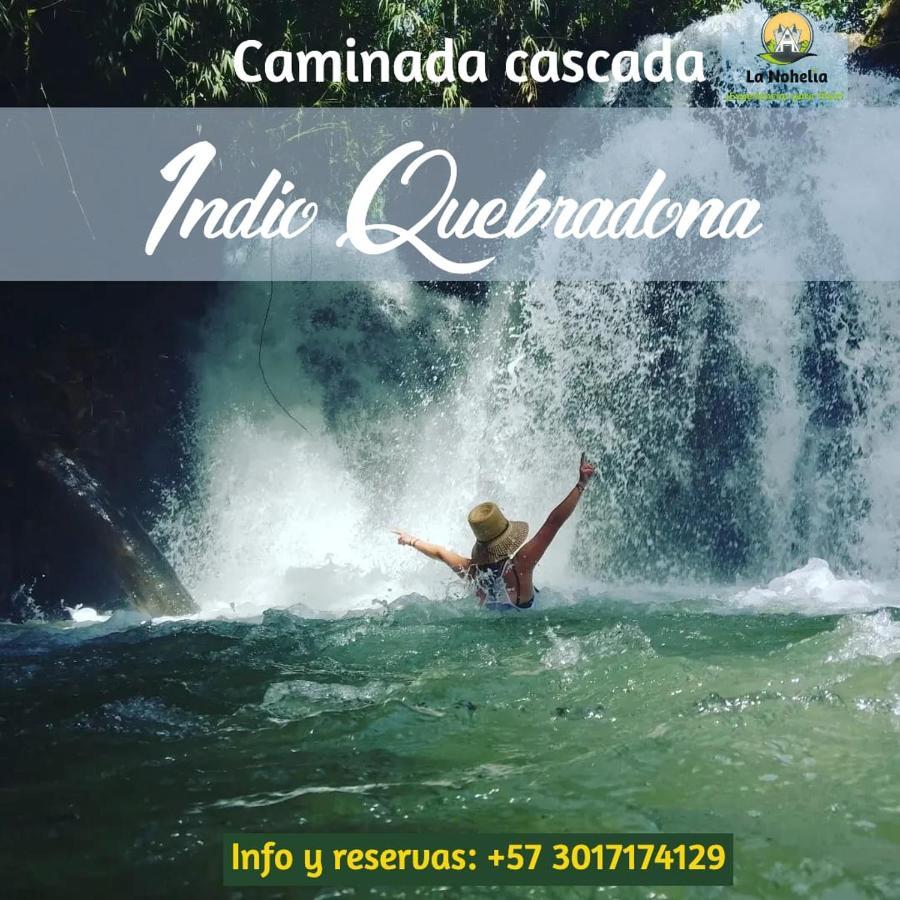 Chalet Ecoturismo La Nohelia ヘリコ エクステリア 写真