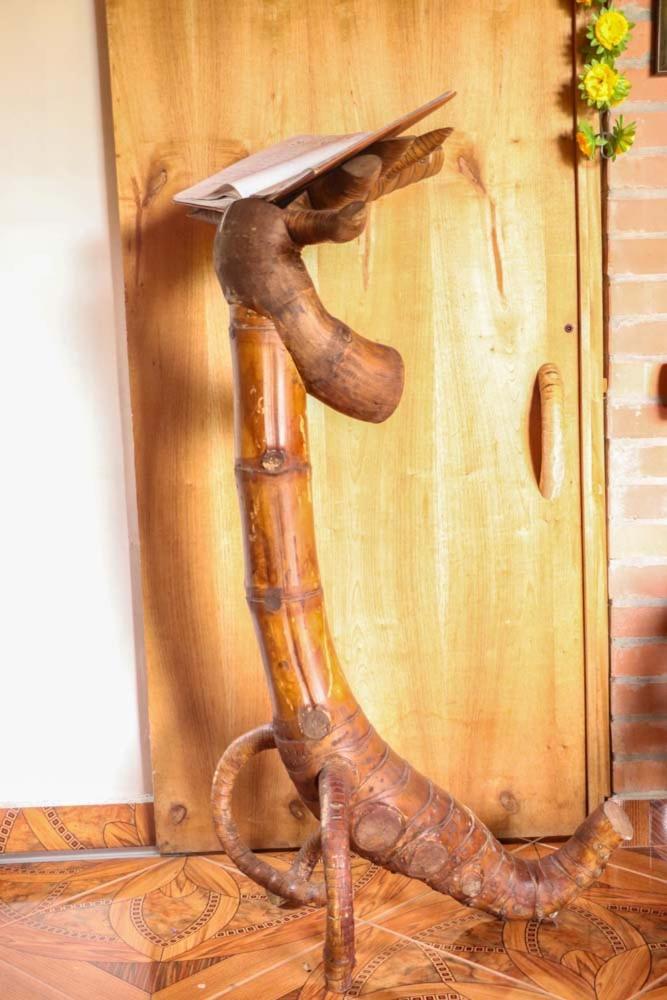 Chalet Ecoturismo La Nohelia ヘリコ エクステリア 写真